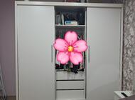 Grajewo ogłoszenia: Sprzedam szafę 
Wymiary 220x60x215 - zdjęcie