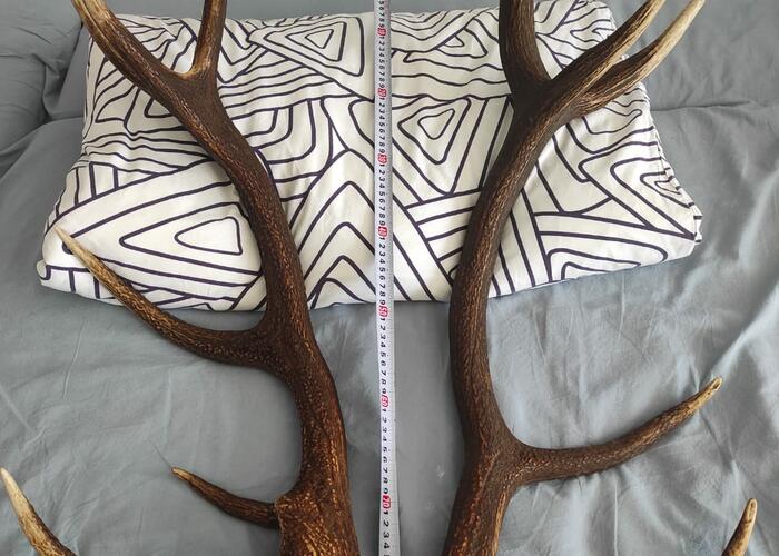 Grajewo ogłoszenia: Sprzedam waga całkowita wszystkich 6 ,84 kg cena do uzgodnienia...