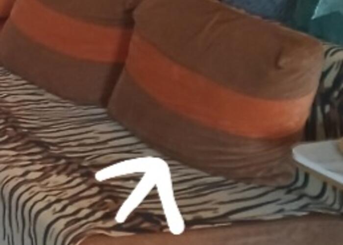 Grajewo ogłoszenia: Sprzedam duże poduchy i podgłówki ,mocny materiał, pokrowce...