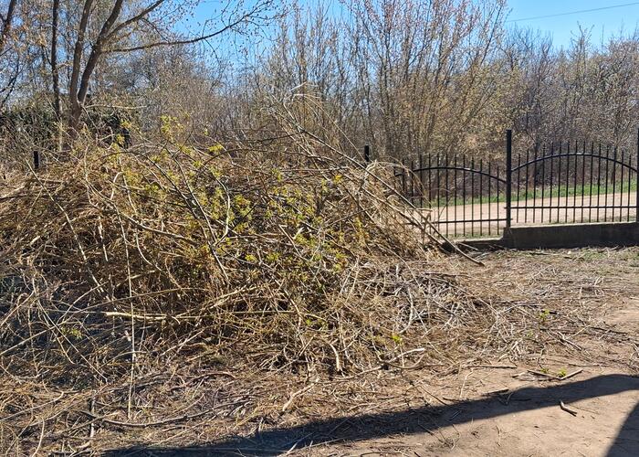 Grajewo ogłoszenia: Witam posiadam stos drewna i gałęzi dla osoby z ręmbakiem do...